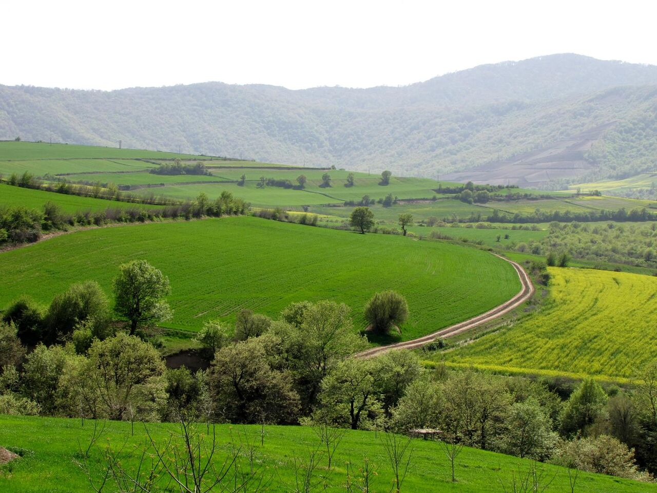 ۶۰۱ هکتار از اراضی ملی در گلستان با رای دادگاه به بیت‌المال بازگشت