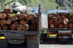 کشف قاچاق چوب آلات جنگلی در رامیان و زخمی شدن دو جنگلبان