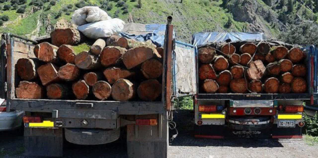 کشف قاچاق چوب آلات جنگلی در رامیان و زخمی شدن دو جنگلبان