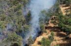 مهار کامل آتش سوزی در ارتفاعات جنگلی نیلکوه گالیکش