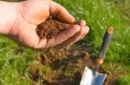 کشاورزان بر اساس آزمون خاک نسبت به تهیه کود پایه اقدام کنند