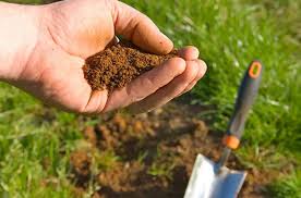 کشاورزان بر اساس آزمون خاک نسبت به تهیه کود پایه اقدام کنند