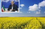 آغاز رسمی خرید کلزا در استان گلستان