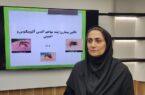هشدار درباره پشه آئدس/ رعایت بهداشت محیط، تنها راه پیشگیری