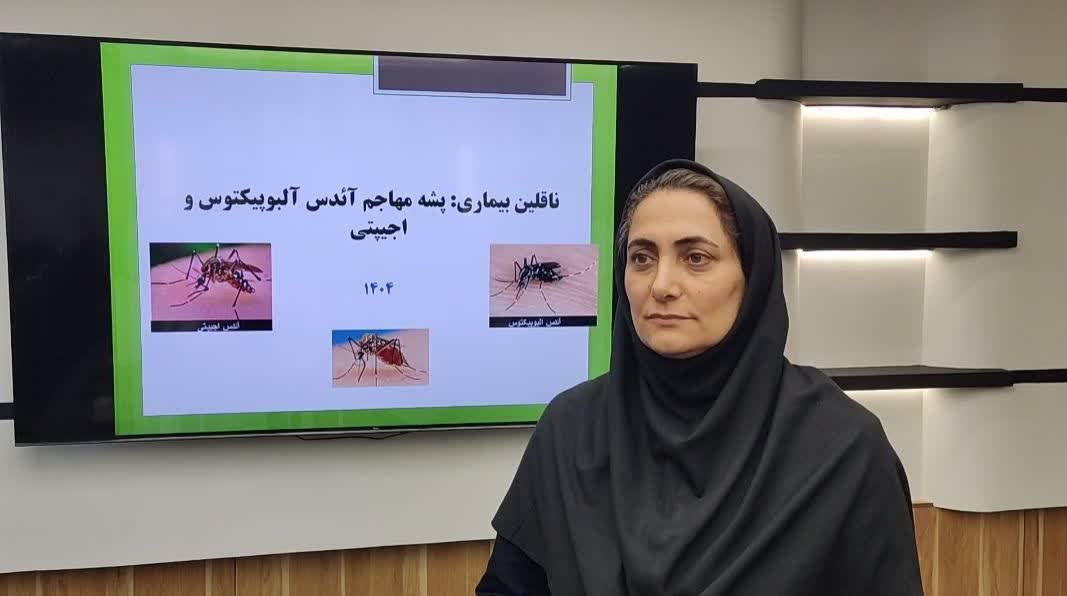 هشدار درباره پشه آئدس/ رعایت بهداشت محیط، تنها راه پیشگیری