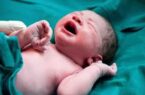 تولد ۵۰ نوزاد از مادران منصرف شده  از سقط عمدی
