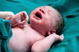 تولد ۵۰ نوزاد از مادران منصرف شده  از سقط عمدی