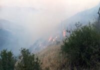 آتش سوزی در منطقه شارلق پارک ملی گلستان